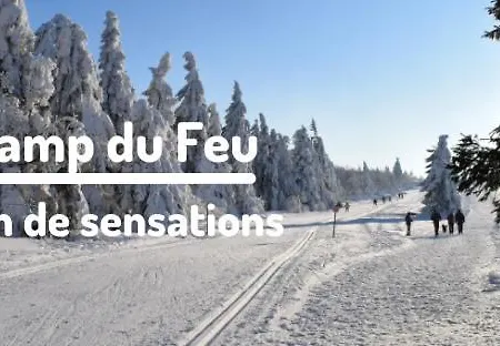 펜션 Mamie House *