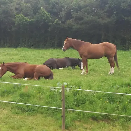 Mamie House * Muhlbach-sur-Bruche