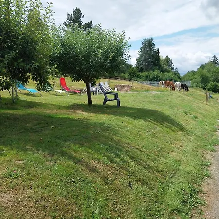 펜션 Mamie House *