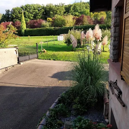 度假居 Mamie House Muhlbach-sur-Bruche